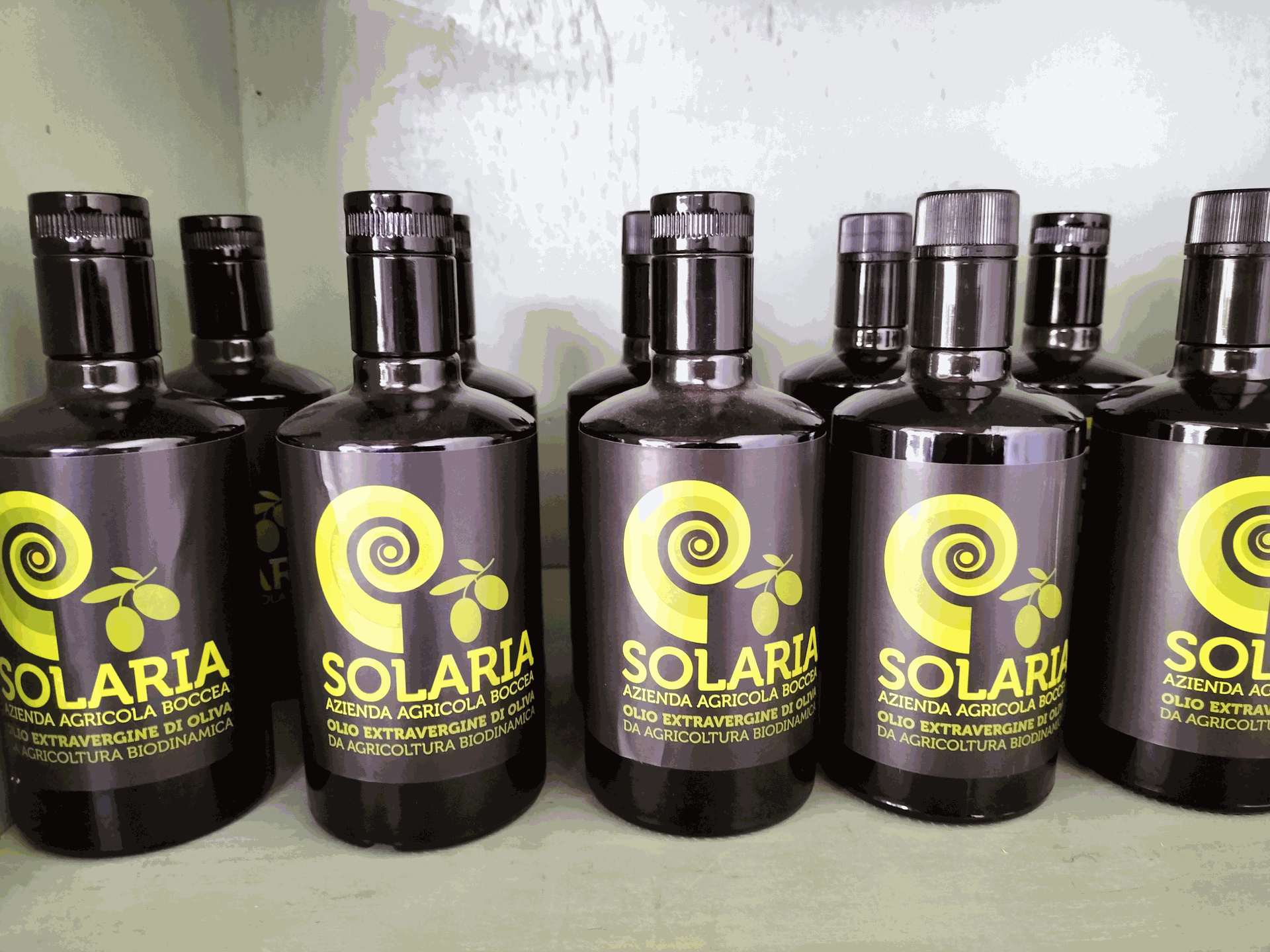 Olio extra vergine di oliva Solaria Azienda Agricola Boccea