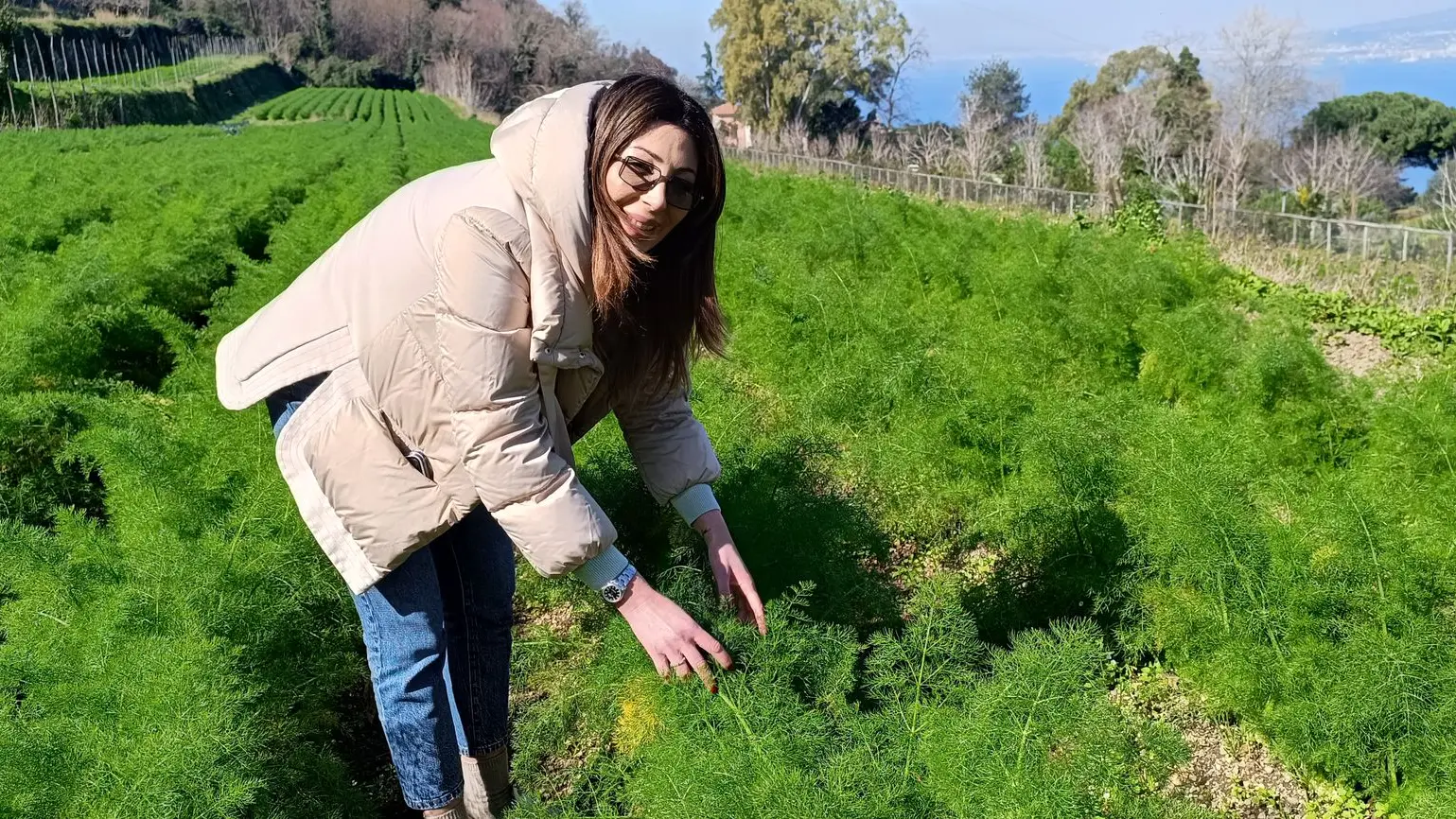 Donna che sta in un terreno agricolo e coltiva