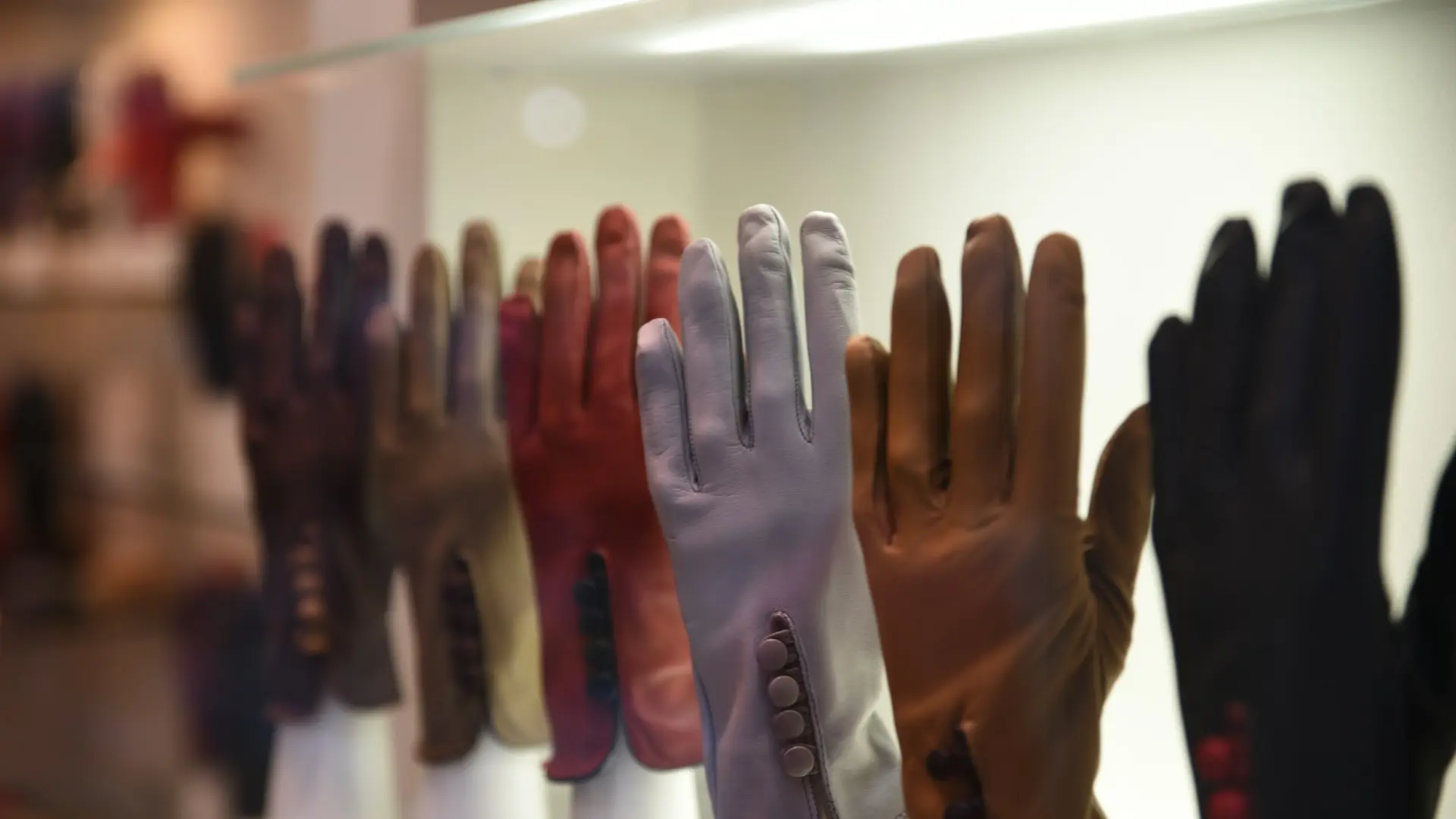 assorted-color gloves on display
