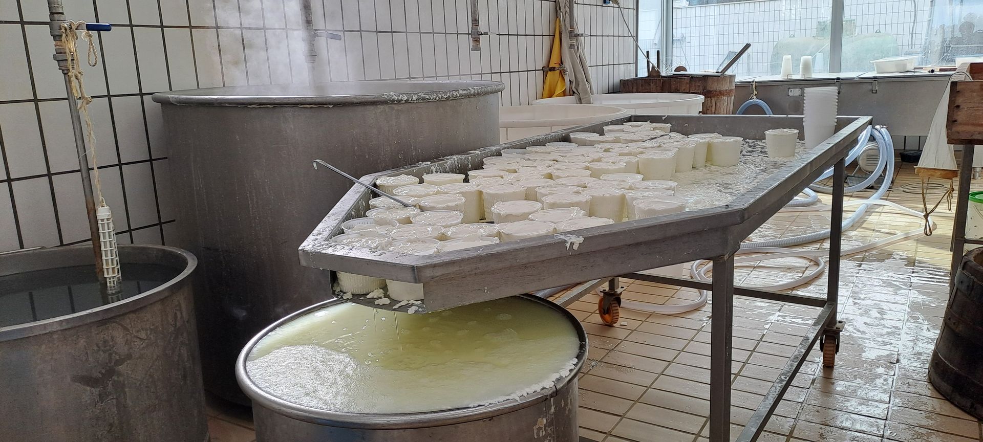 Zona di lavoro della Latteria Serra alla Faccia del Caciocavallo