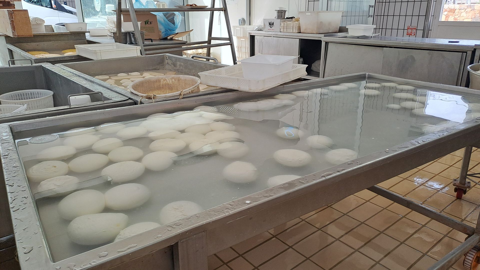 Mozzarelle della Latteria Serra alla Faccia del Caciocavallo