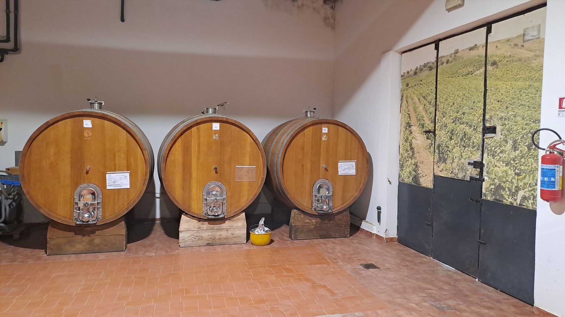 Botti dell'Azienda Agricola Cossentino