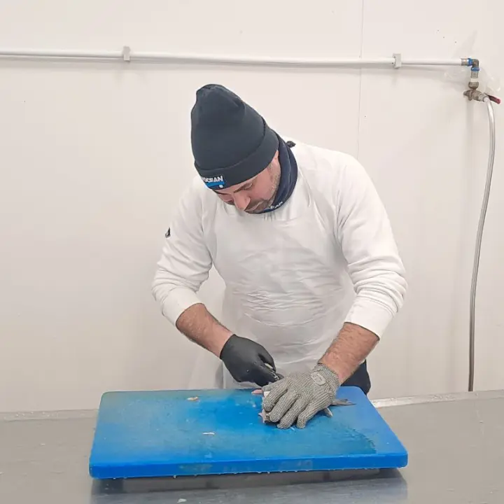 Lavoro Blu Ocean