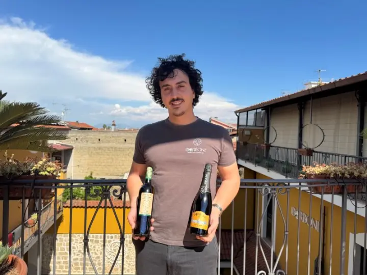 Nicola Numeroso I Borboni