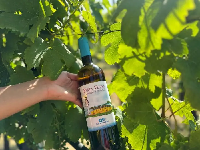Bottiglia di vino Venere Maria Furgero