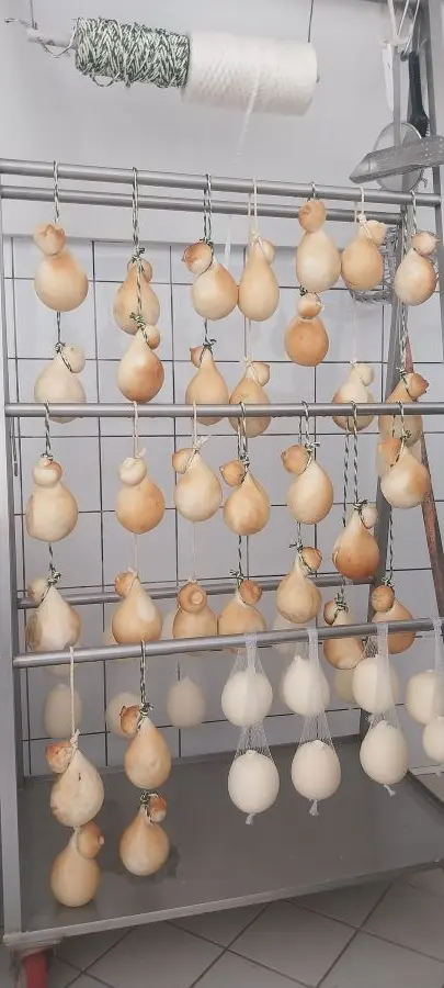 Caciocavallo