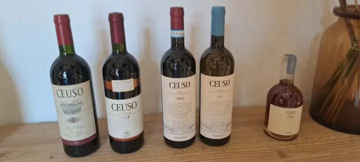Vini Tonnino Baglio Ceuso