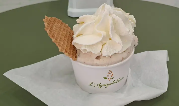Gelato biologico