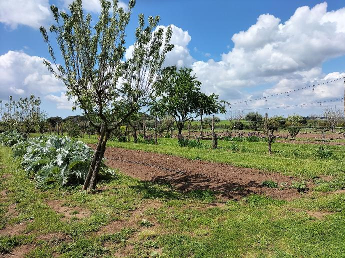 Campi coltivati dell'Orto di Alberico