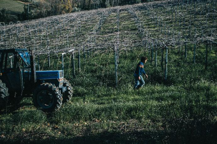 Lavorazione vigna Famiglia Febo