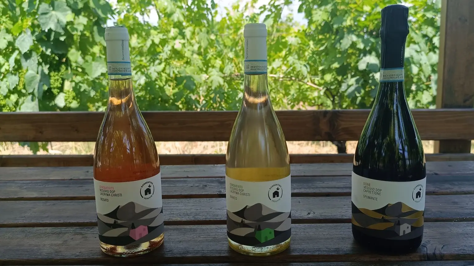 Vini su tavolo di legno esposti